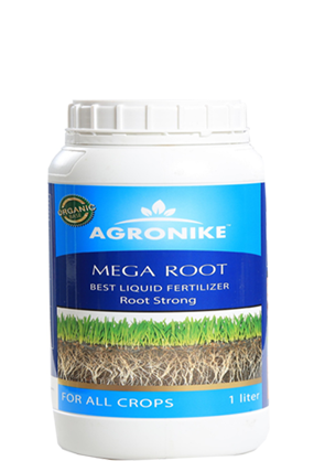 Rooting fertilizer Agronik- MEGAROOT