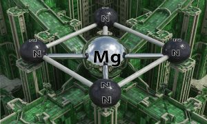 کود سولفات منیزیم معمار کلروفیل