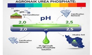 کود اوره فسفات با نام تجاری اگرونایک