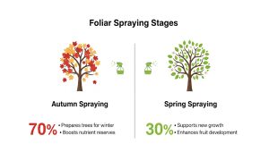 عملکرد فروت ست در گرده افشانی