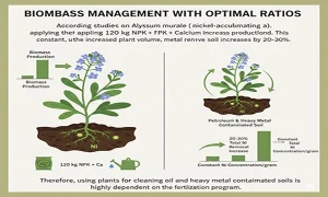  گیاه پالایی : استفاده از گیاهان برای پاکسازی خاک‌های آلوده به مواد نفتی و سنگین