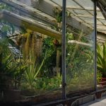 کاربرد کود کشاورزی در گلخانه در محلات