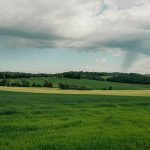 کاربرد کود کشاورزی در گلخانه در پارسآباد