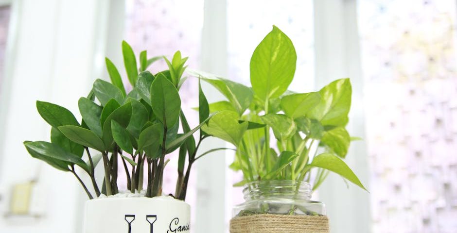 کاربرد کود کشاورزی در گلخانه در اسدآباد