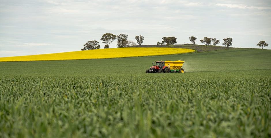 کاربرد کود کشاورزی در گلخانه در آبادان