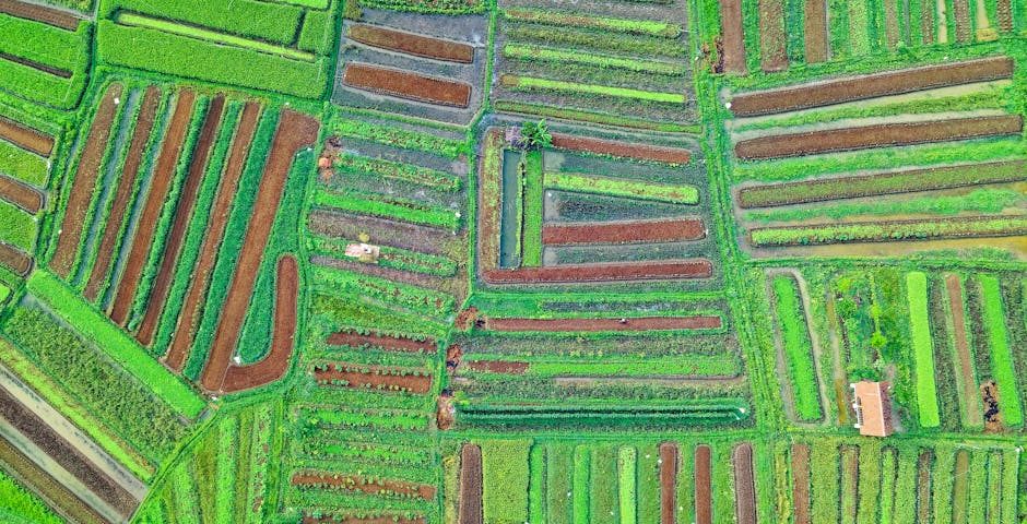 کاربرد کود کشاورزی در گلخانه در دوگنبدان