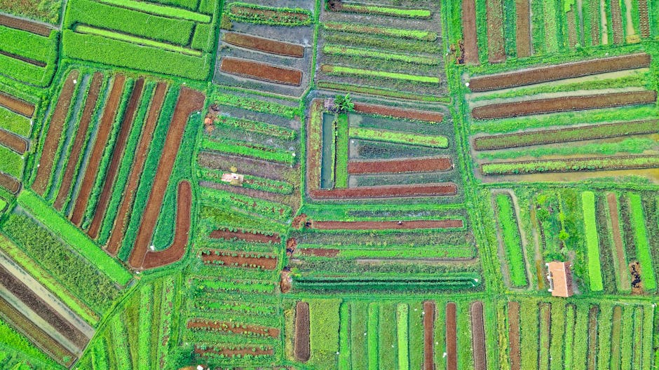 کاربرد کود کشاورزی در گلخانه در دوگنبدان