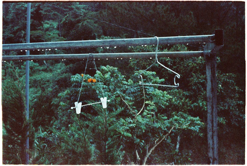 کاربرد کود کشاورزی در گلخانه در بانه