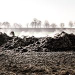 کاربرد کود کشاورزی در گلخانه در جیرفت