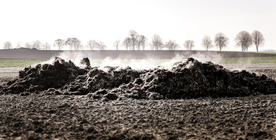 کاربرد کود کشاورزی در گلخانه در جیرفت