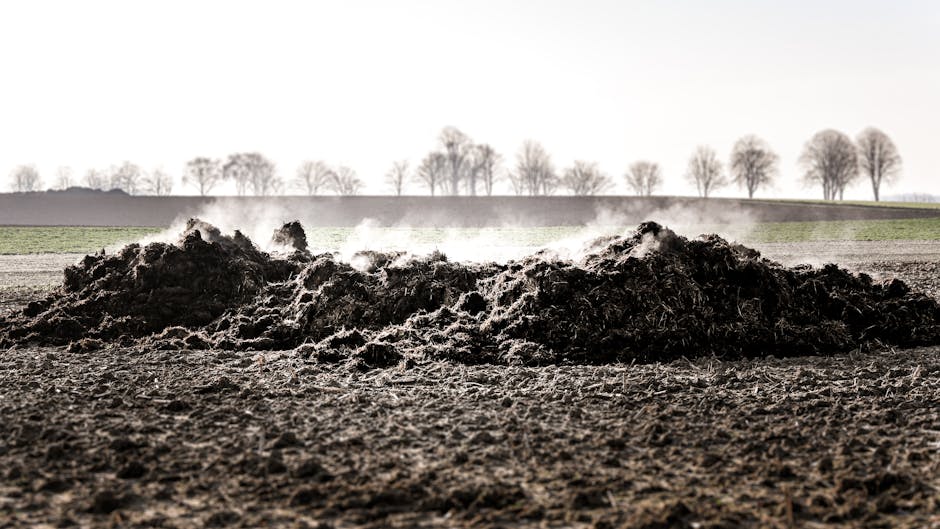 کاربرد کود کشاورزی در گلخانه در جیرفت