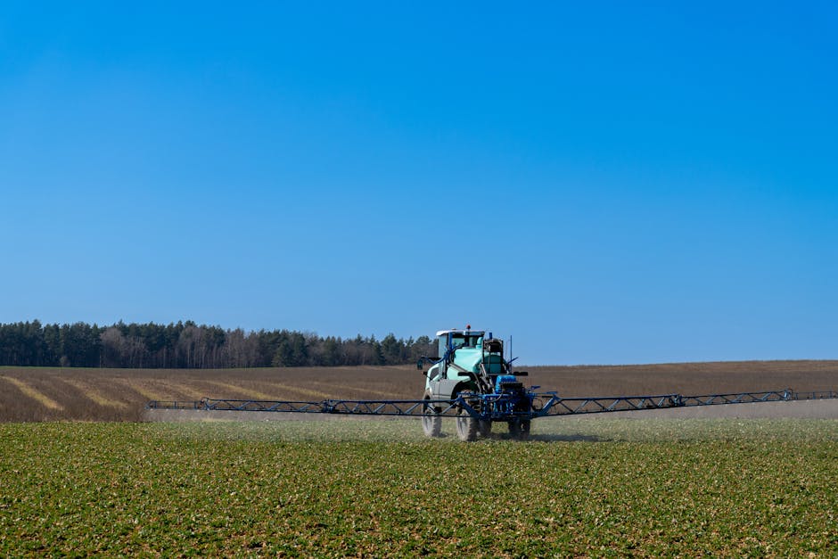کاربرد کود کشاورزی در گلخانه در سمنان