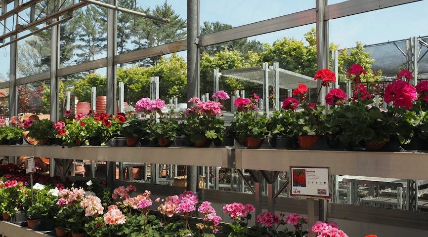 کاربرد کود کشاورزی در گلخانه در دامغان