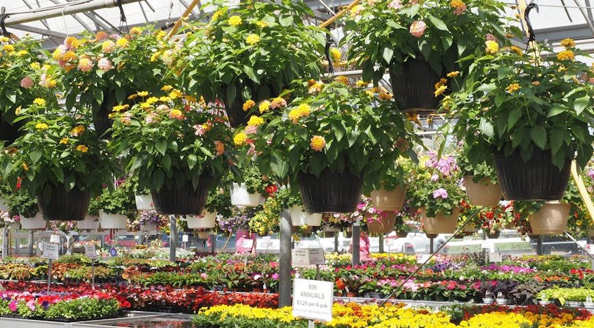 کاربرد کود کشاورزی در گلخانه در شاهرود