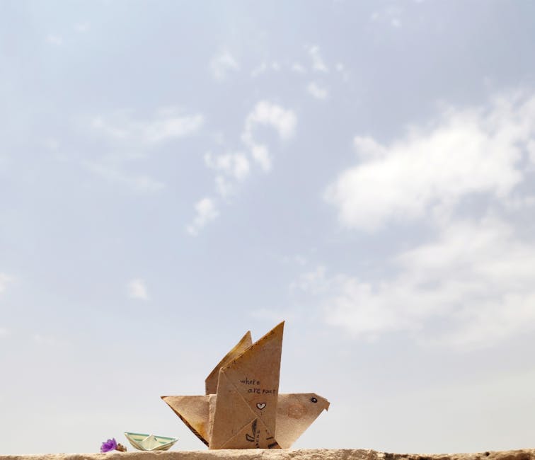 کاربرد کود کشاورزی در گلخانه در اهر