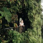 کاربرد کود کشاورزی در گلخانه در میبد