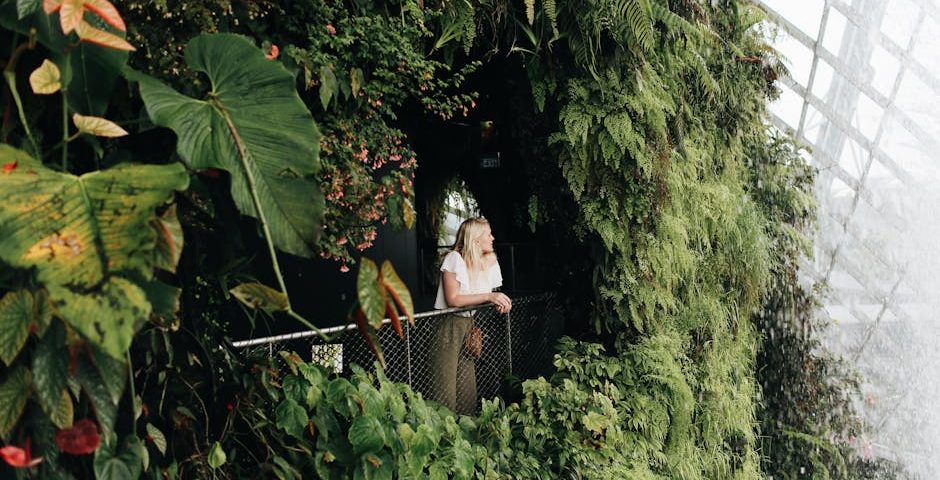 کاربرد کود کشاورزی در گلخانه در میبد