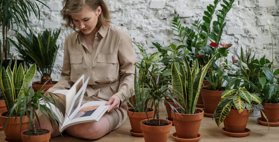 کاربرد کود کشاورزی در گلخانه در نظرآباد