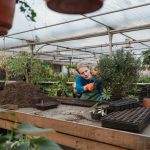 کاربرد کود کشاورزی در گلخانه در میناب