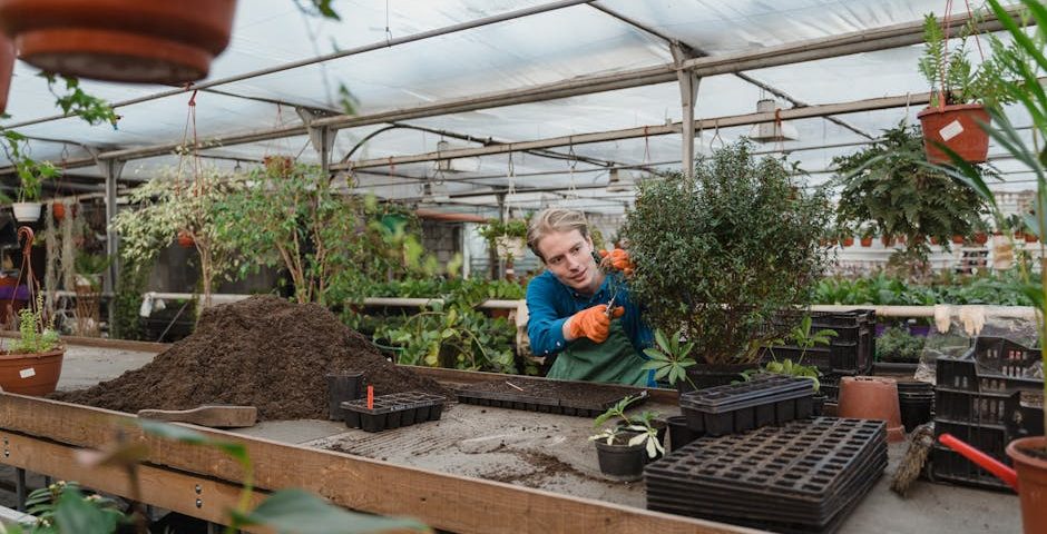 کاربرد کود کشاورزی در گلخانه در میناب
