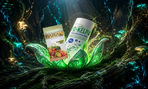 1. بهترین کود برای تنش گرمای تابستان؛ مقایسه اسید هیومیک، آمینواسید و جلبک دریایی