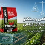 1. رابطه آهن و منگنز در بیماری های گیاهی؛ مهندسی دفاع بیوشیمیایی گیاه