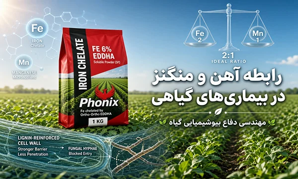 1. رابطه آهن و منگنز در بیماری های گیاهی؛ مهندسی دفاع بیوشیمیایی گیاه